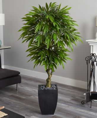 5.5' Mango Artificial Tree in Black Wash Planter UV Resistant