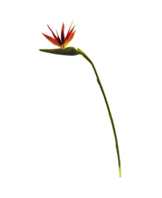 38-In. Large Bird of Paradise Artificial Flower, Set of 4