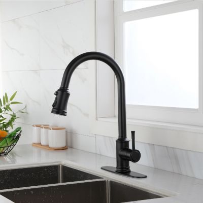 Touch Kitchen Faucet With Pull Down Sprayer