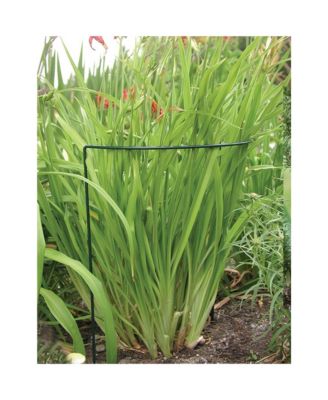 Luster Leaf 1030 Link-Ups Plant Support, Green Vinyl, 8 x 22-In.