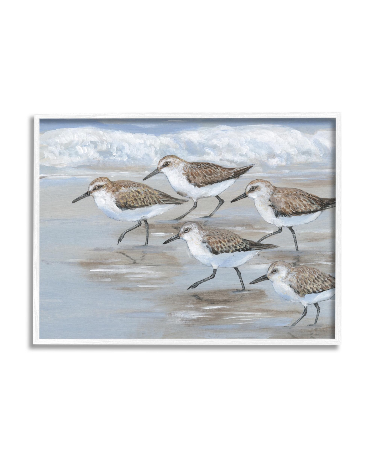 STUPELL INDUSTRIES SANDPIPER BIRDS BEACH MARCH FRAMED GICLEE ART, 11" X 1.5" X 14"