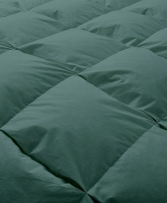 Cotton Fabric Baffled Box All Season Colored Goose Feather and Down Comforter, King