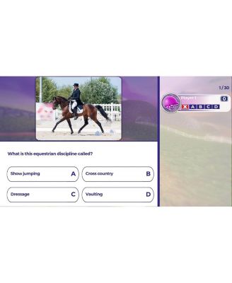 Equestrian Training - Switch