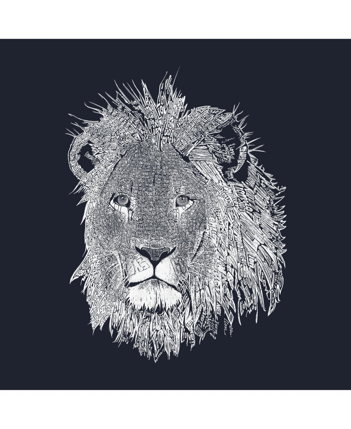 La Pop Art Boys Word Art Hooded Sweatshirt - Lion