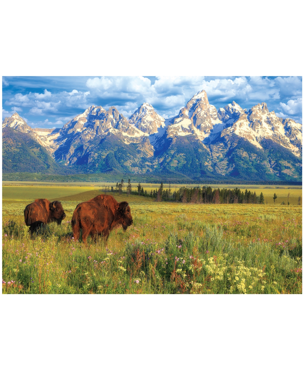 University Games Kids' Eurographics Incorporated Steve Hinch Grand Teton National Park, Wyoming, Usa Jigsaw Puzzle, 1000 Pi In No Color