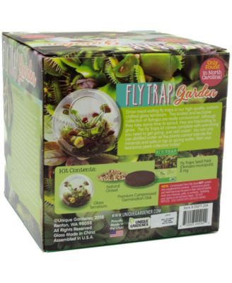 Unique Gardener Glass Terrarium Fly Trap Garden Plant Kit