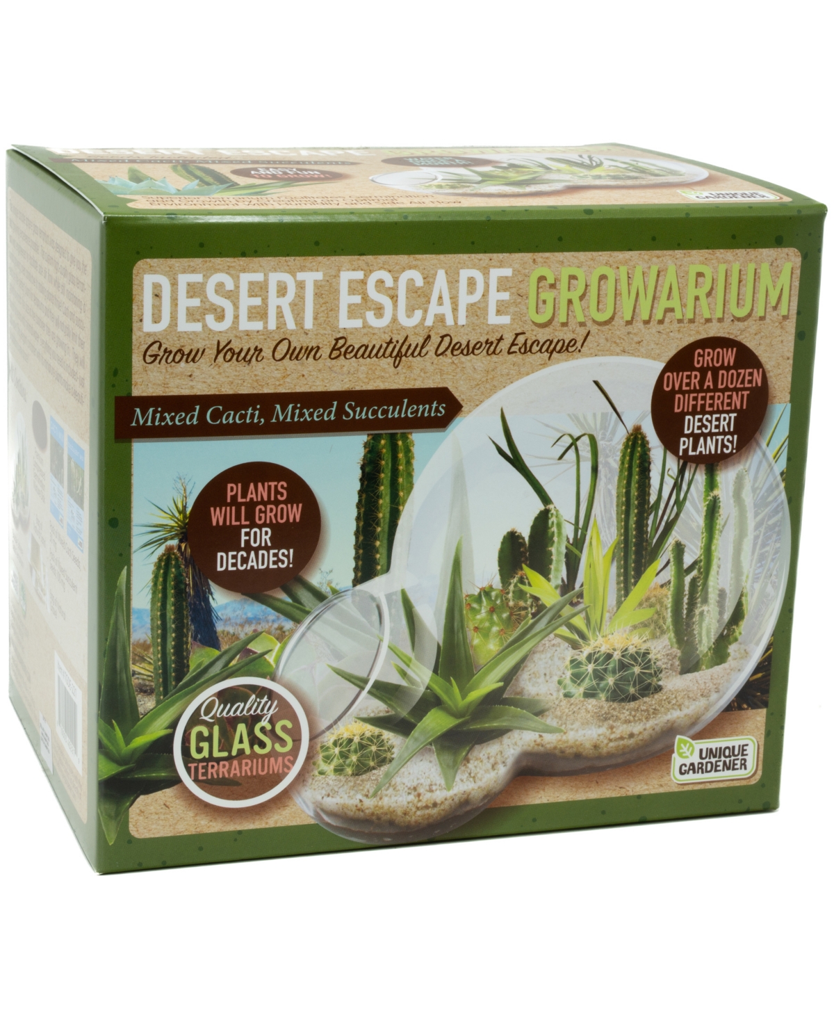 Shop Areyougame Unique Gardener Double Sphere Glass Terrarium Desert Escape Growarium Plant Kit In No Color