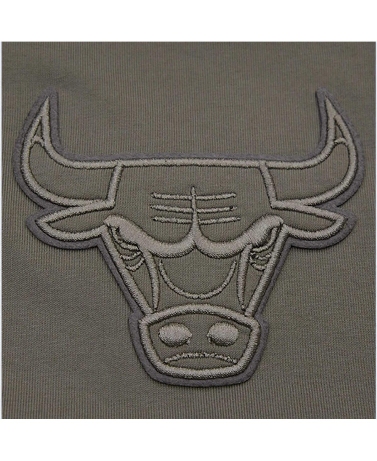 Pro Standard Gray Chicago Bulls Neutrals Short Sleeve Pullover Hoodie In Gray