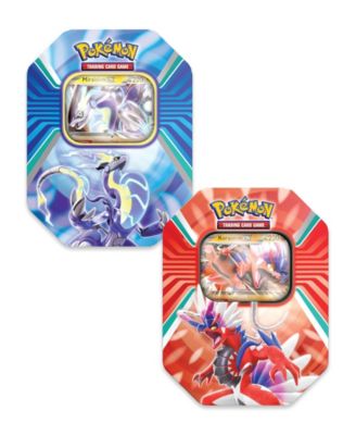 Pokemon Pokémon Ex Legends Summer 2023 Tin Cards-Style May Vary