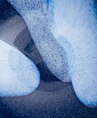 Studio Blue Accent Large Serving Bowl