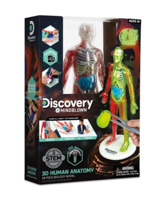 CLOSEOUT! 3D Human Anatomy 28-Piece Biology Model