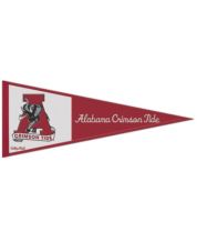 WinCraft Illinois Fighting Illini 13 x 32 Vault Pennant