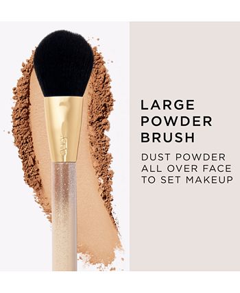 Starlight Stunner Brush Set