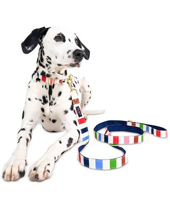  Kate Spade New York Heavy Duty Leash for Female or Male Dogs,  Cute Pet Leash with Gold Metal Hardware, Long Dog Lead for Small Medium  Large Breeds (Large, Adventure Stripe) 