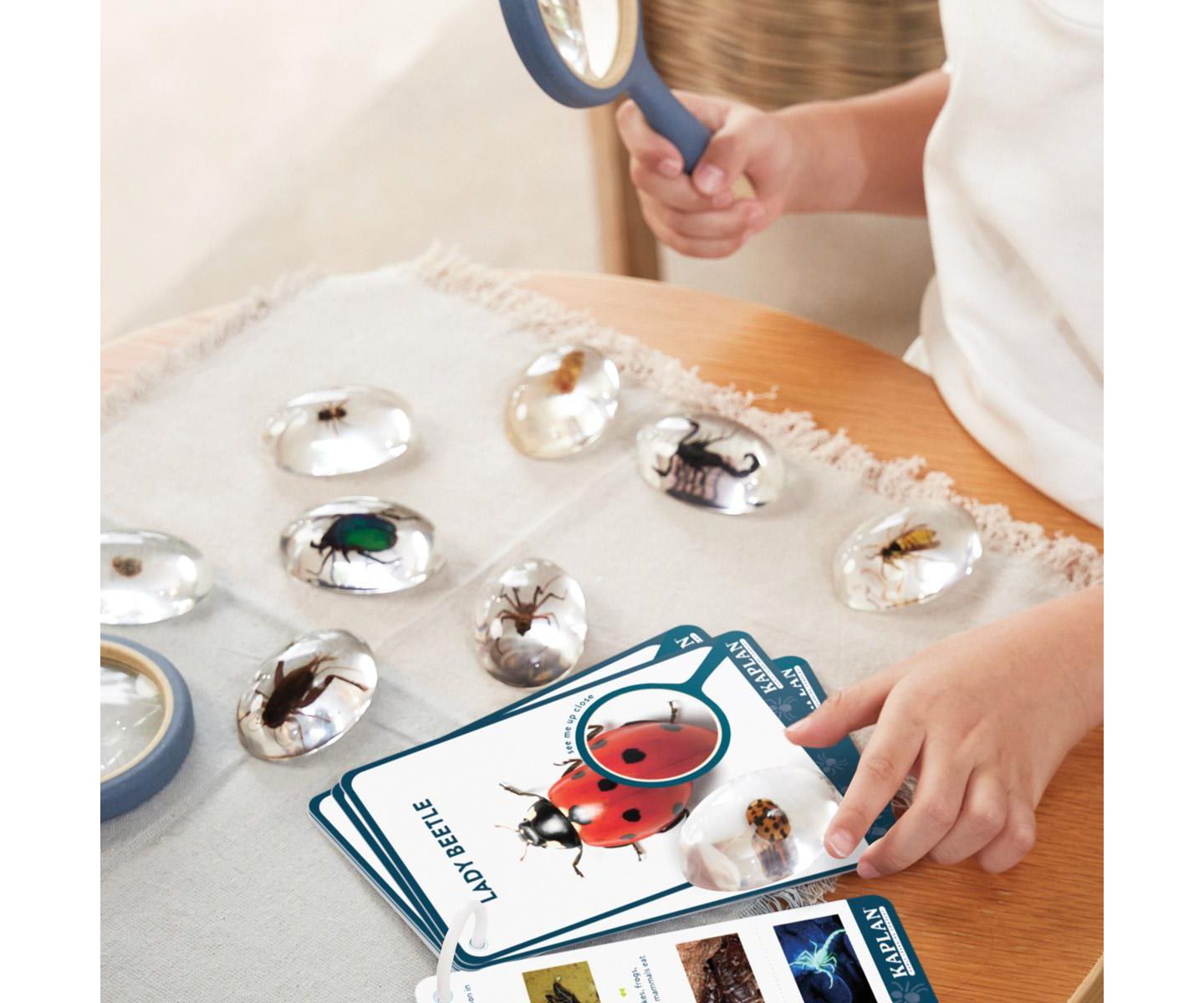 Детские игрушки Kaplan Early Learning Specimen Stones: Bugs, цвет: Разноцветный — фото 7