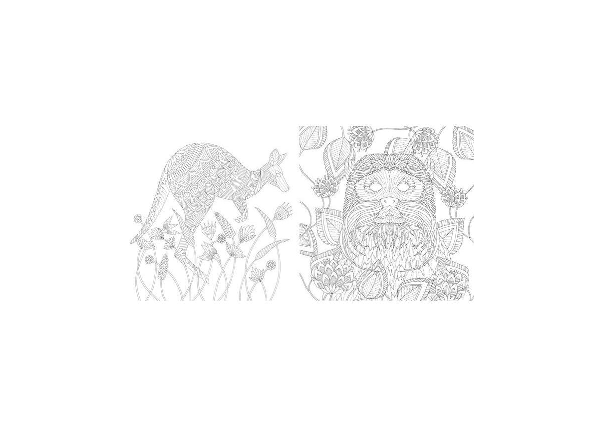 Millie Marotta's Brilliant Beasts- Favorite Illustrations from Coloring Adventures by Millie Marotta