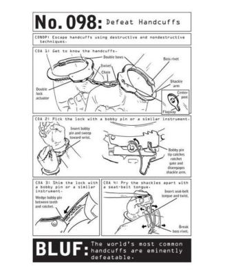 100 Deadly Skills- The SEAL Operative's Guide to Eluding Pursuers, Evading Capture, and Surviving Any Dangerous Situation by Clint Emerson