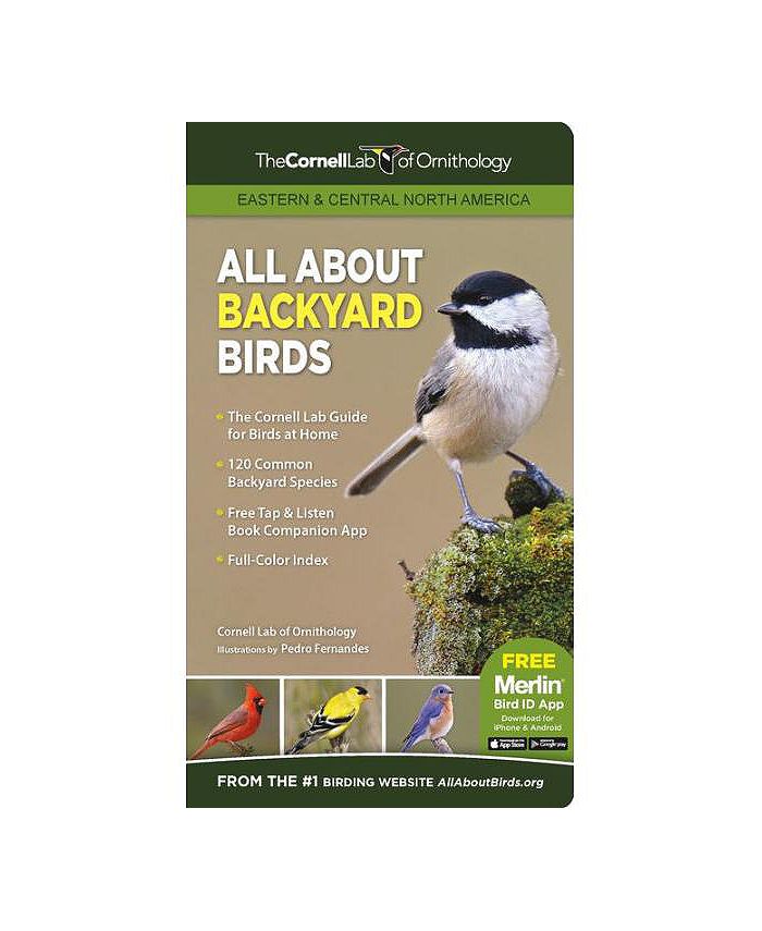 Barnes Noble All About Backyard Birds Eastern Central North