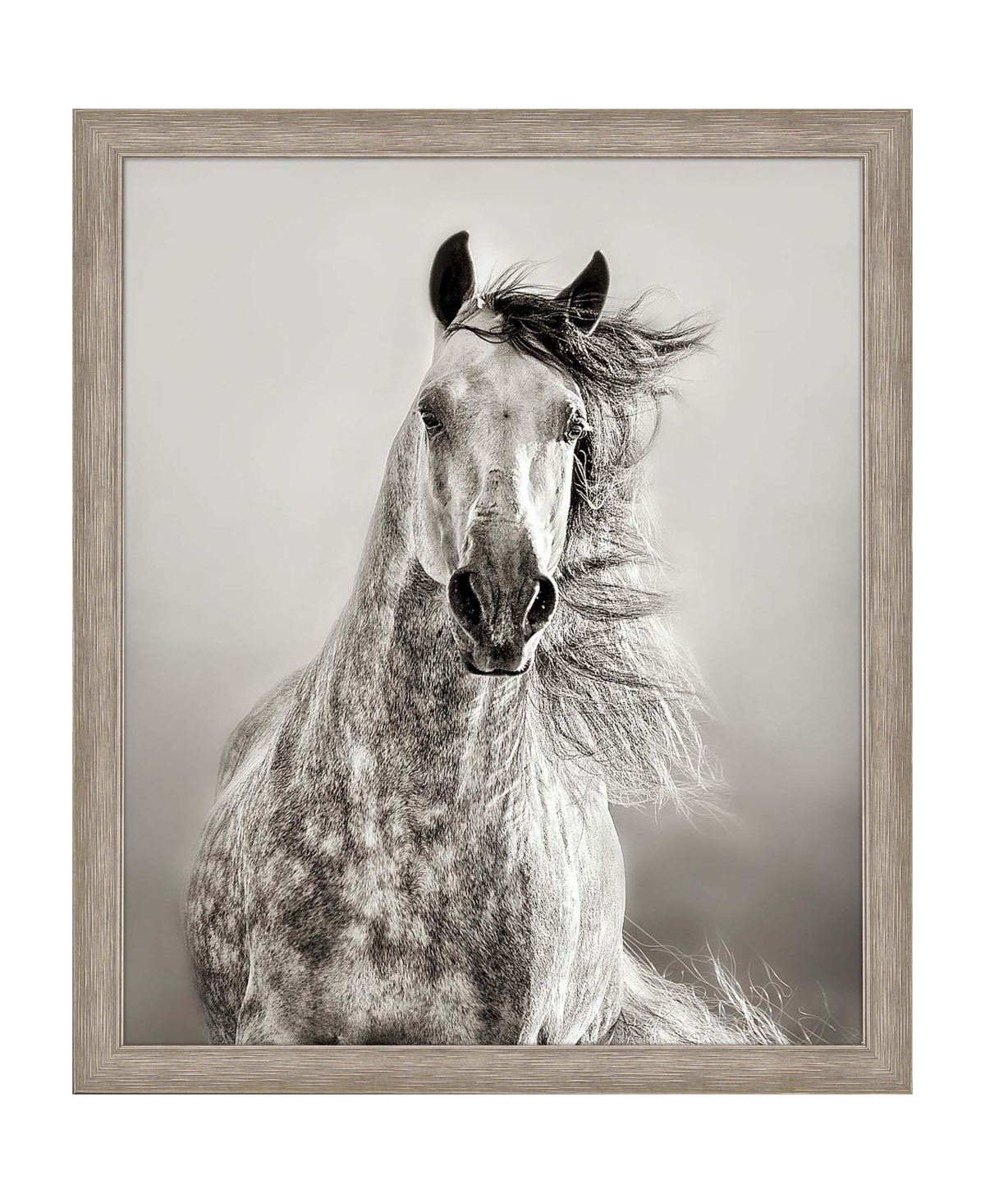 Paragon Picture Gallery Caballo De Andaluz Framed Art In Beige
