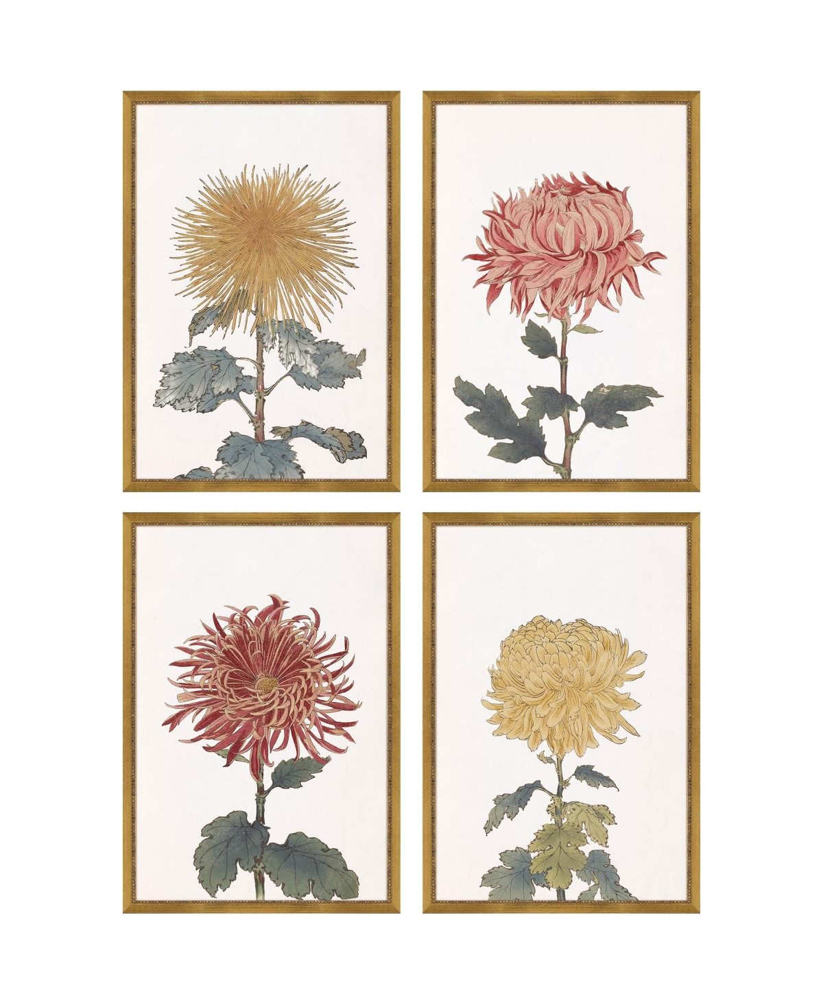 Paragon Picture Gallery Chrysanthemum Framed Art, Set Of 4 In Green