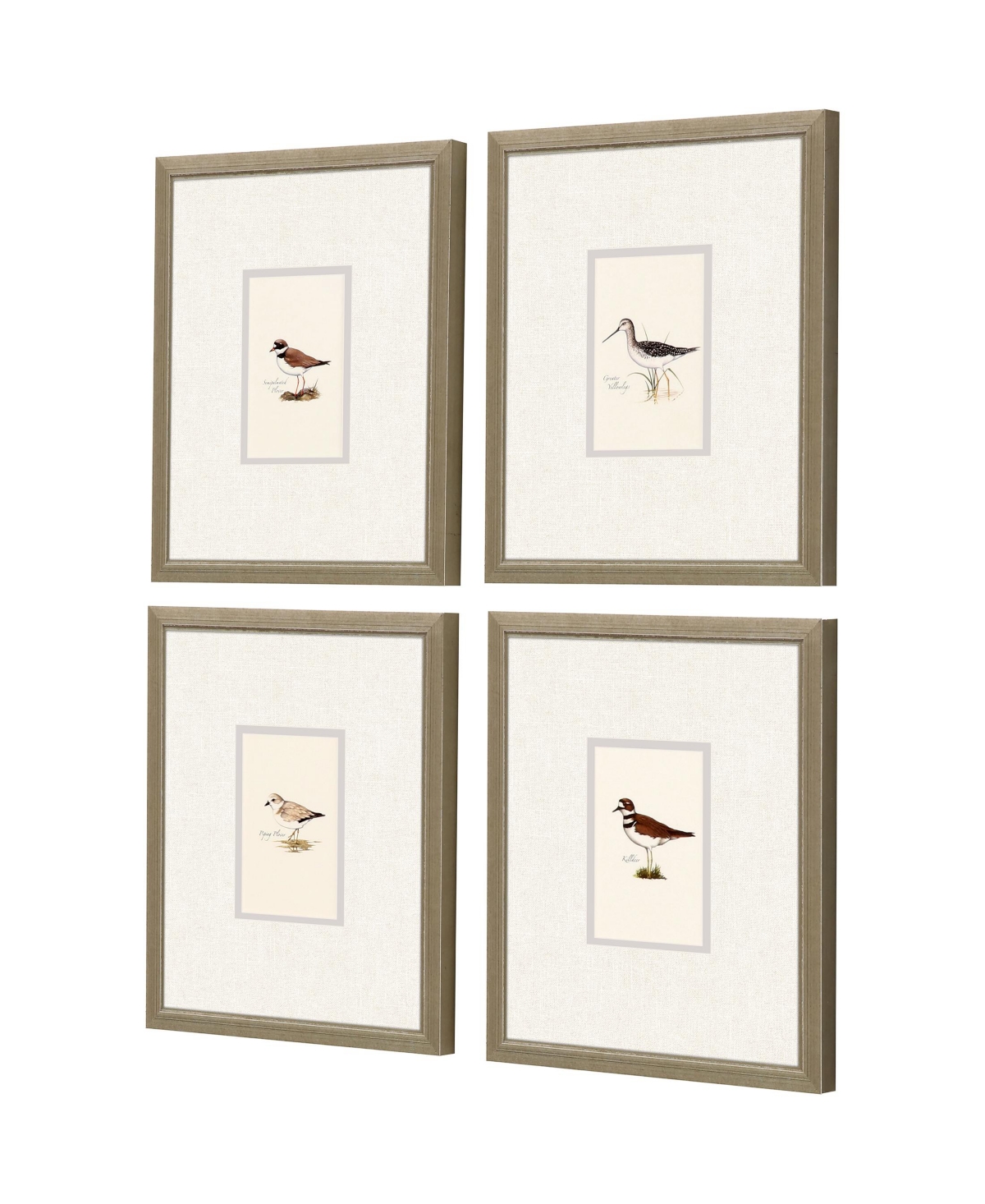 Shop Paragon Picture Gallery Shorebirds Framed Art, Set Of 4 In Brown