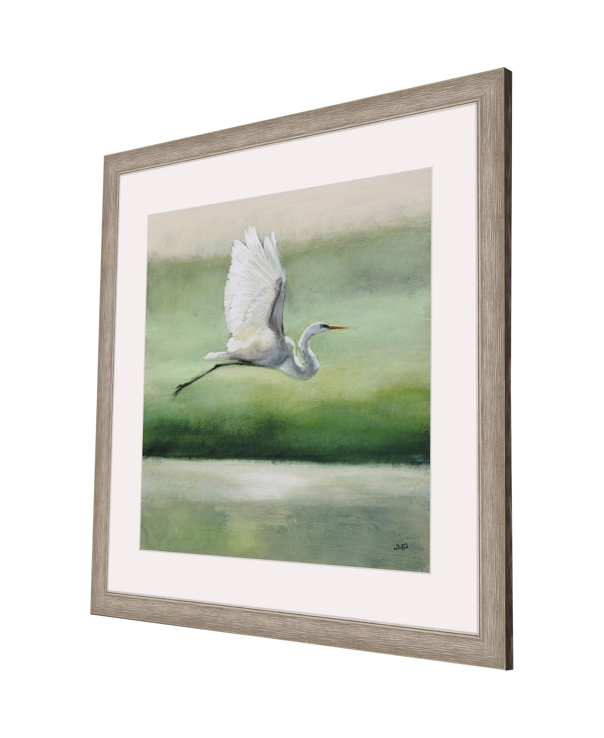 Shop Paragon Picture Gallery Flight Framed Art In Green
