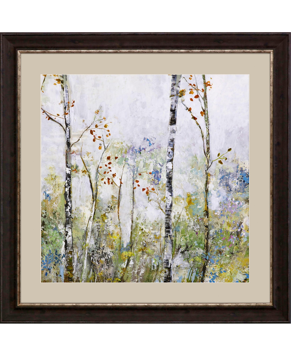 Paragon Picture Gallery Birch Forest Ii Framed Art In Green