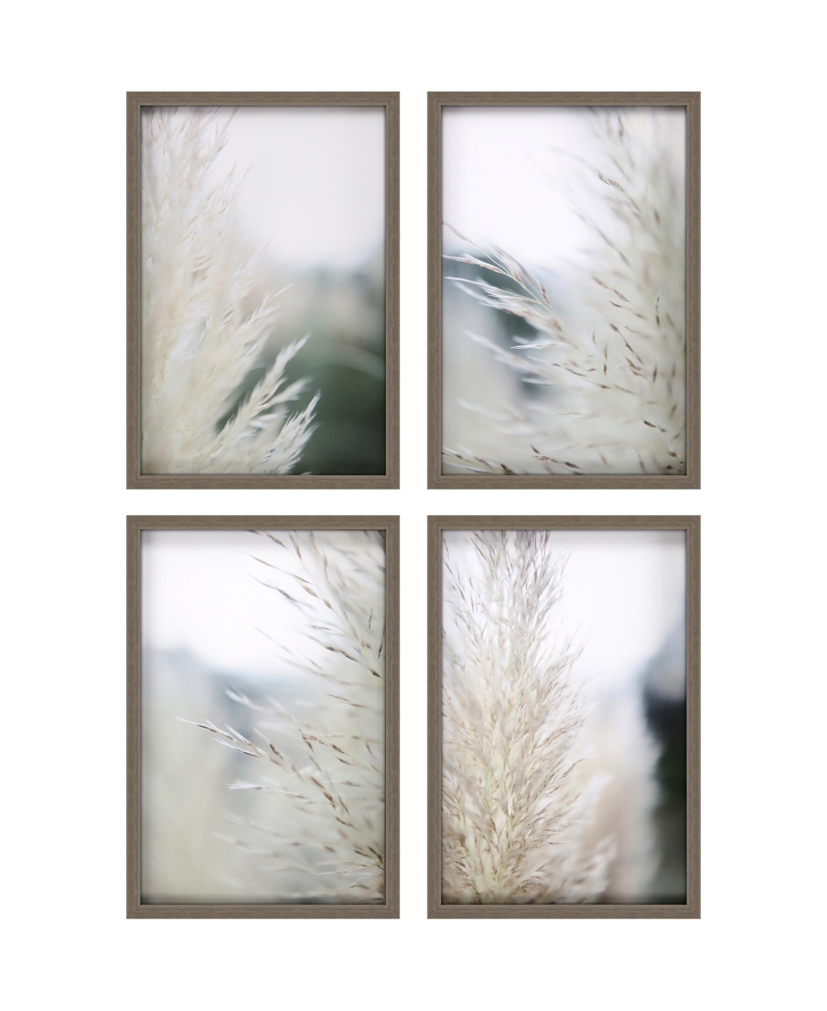 Paragon Picture Gallery Subtle Grasses Framed Art, Set Of 4 In Green