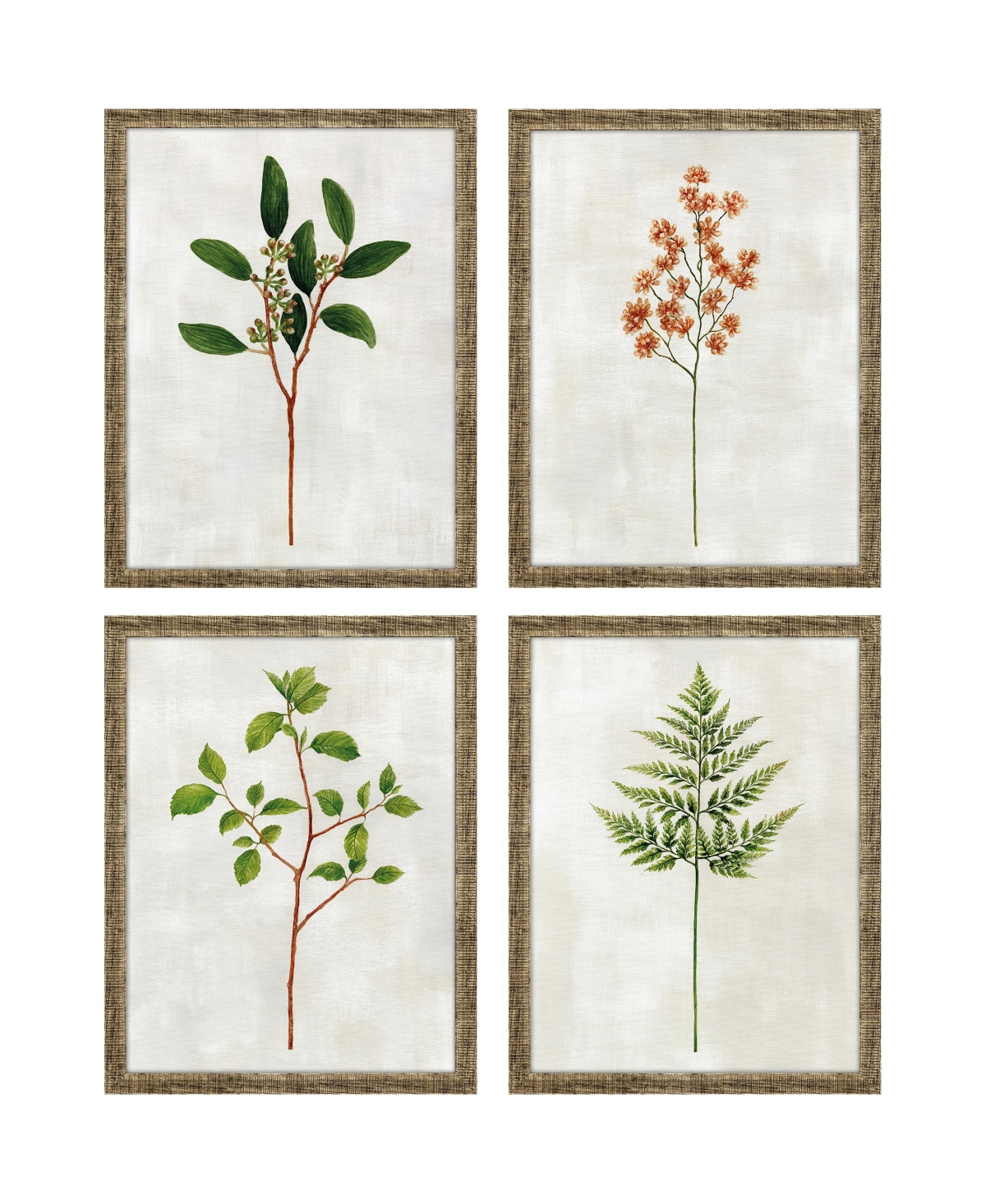 Paragon Picture Gallery Botanical I Framed Art, Set Of 4 In Green