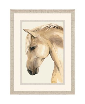 Paragon Picture Gallery