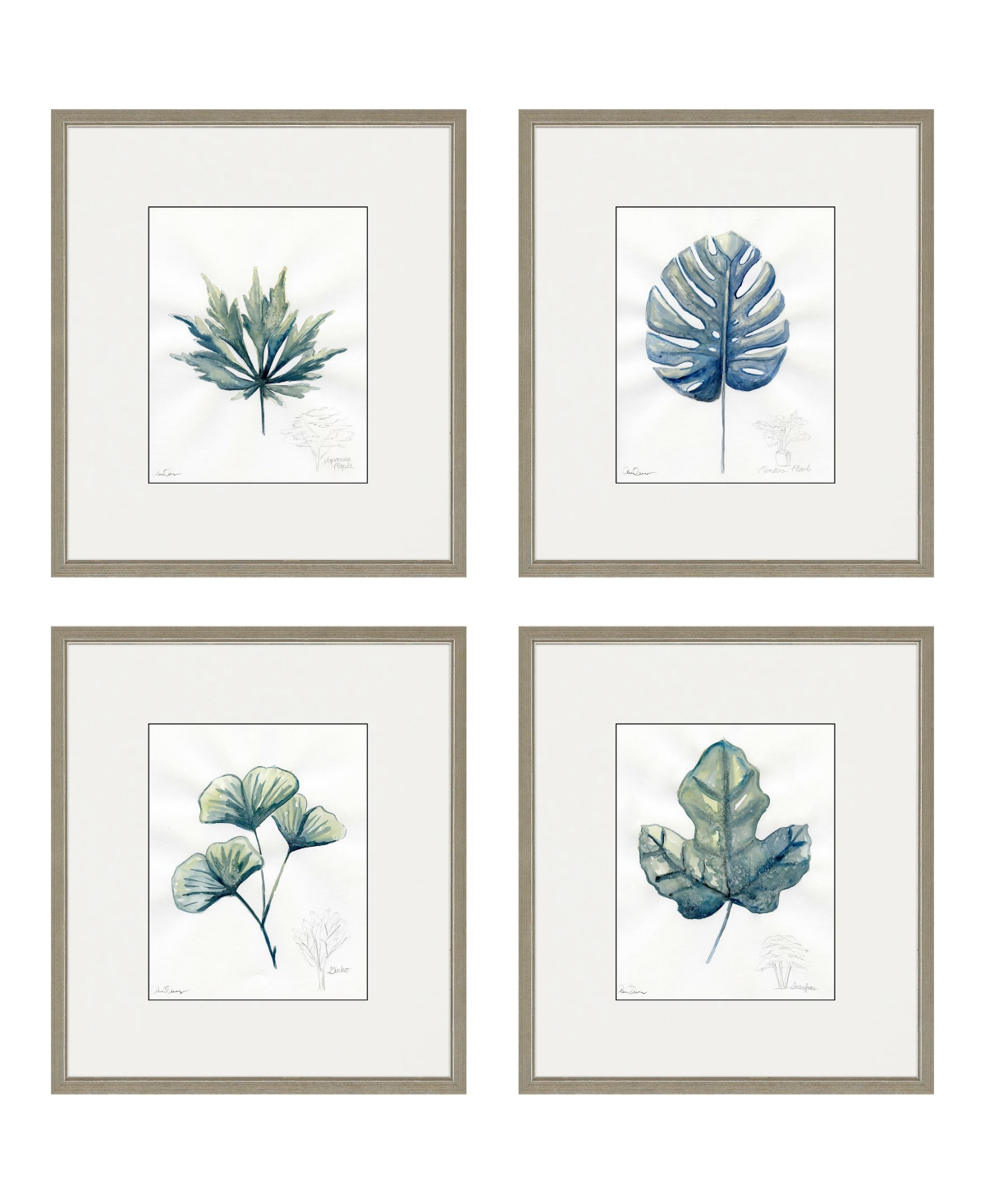 Paragon Picture Gallery Plant Drawings Framed Art, Set Of 4 In Blue