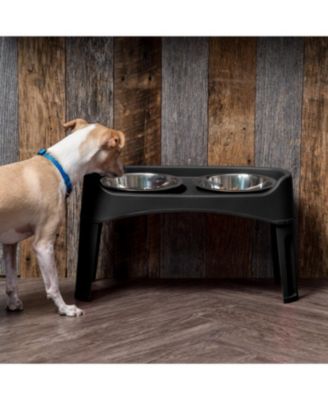 Large Pet Plastic Elevated Feeder, Black