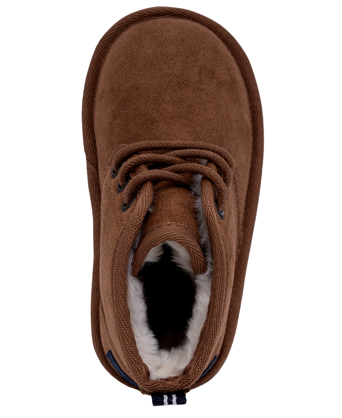 Nautica Big And Little Kid Dulverton Cold Weather Lace Up Boots In Brown