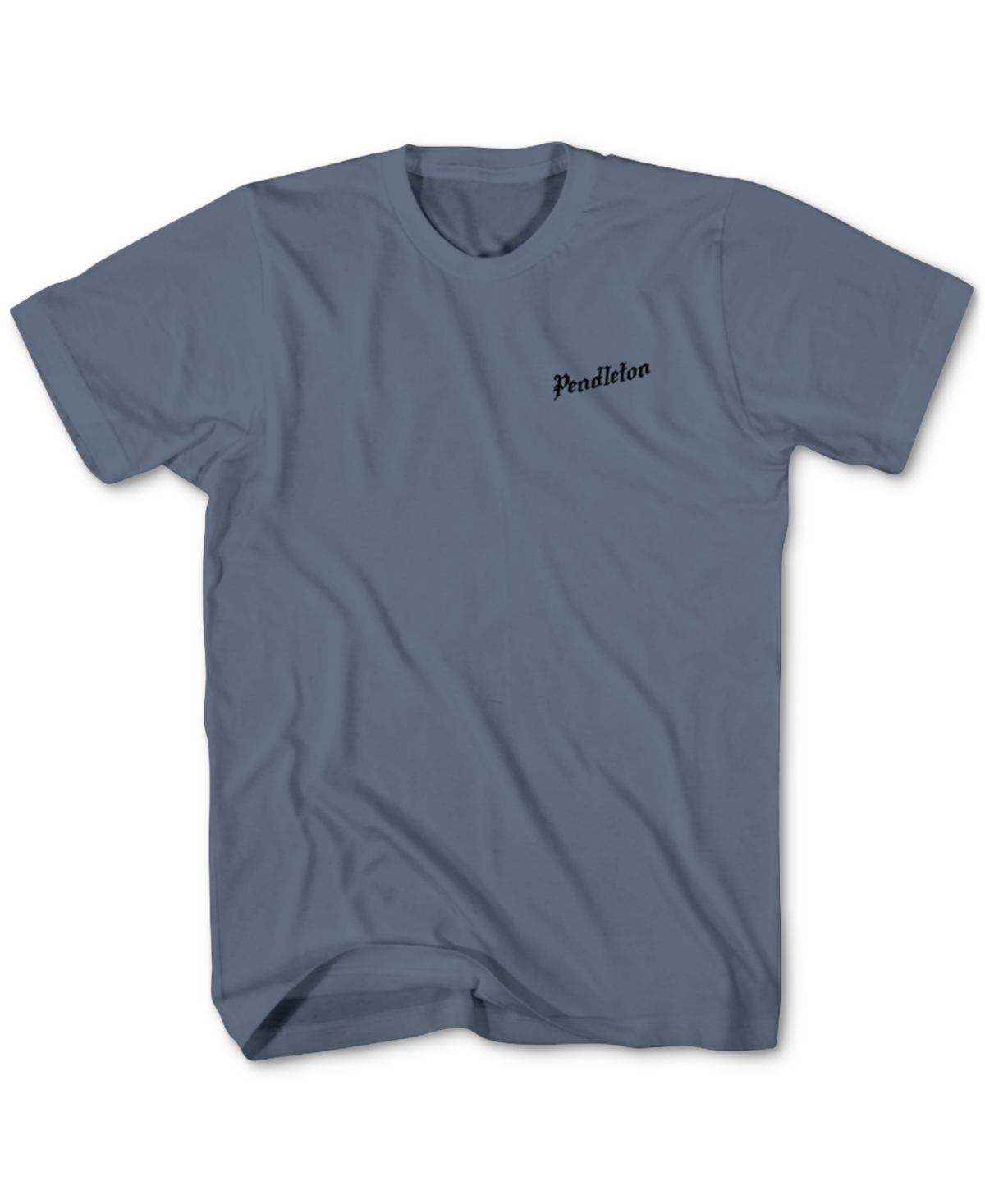Pendleton Men's Vintage Buffalo Crewneck Short Sleeve Graphic T-shirt In Steel Blue,black