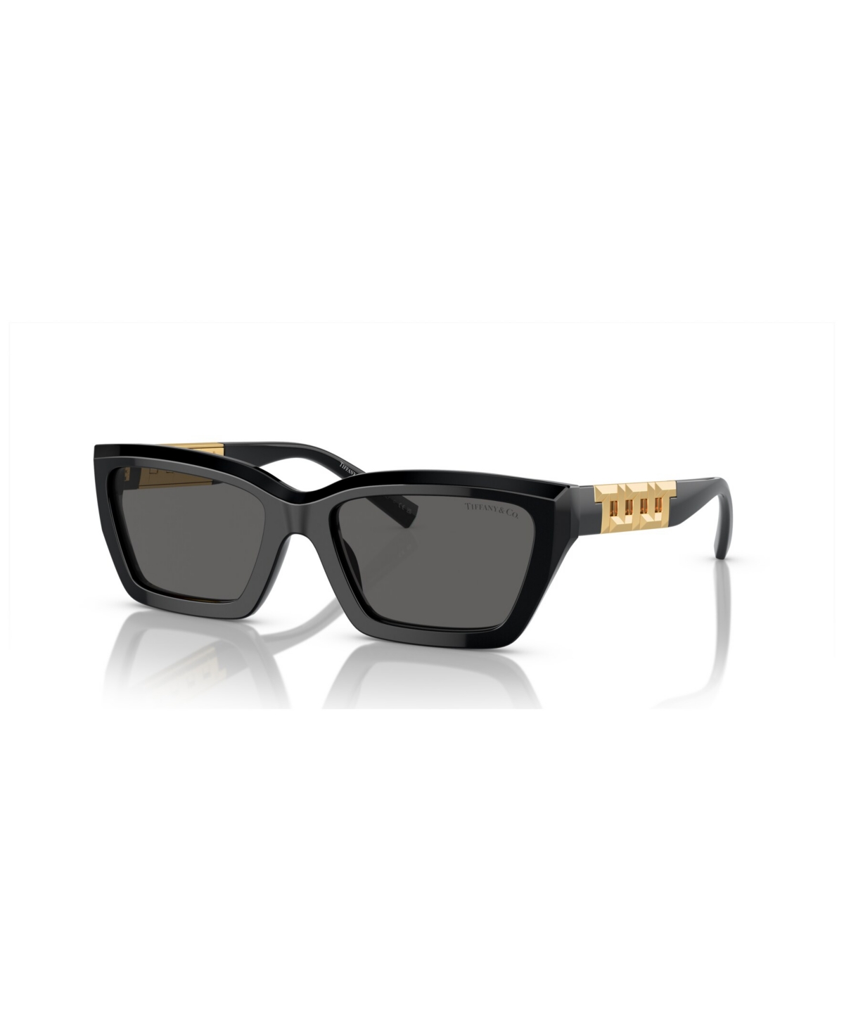 Tiffany & Co Women's Sunglasses Tf4213 In Black