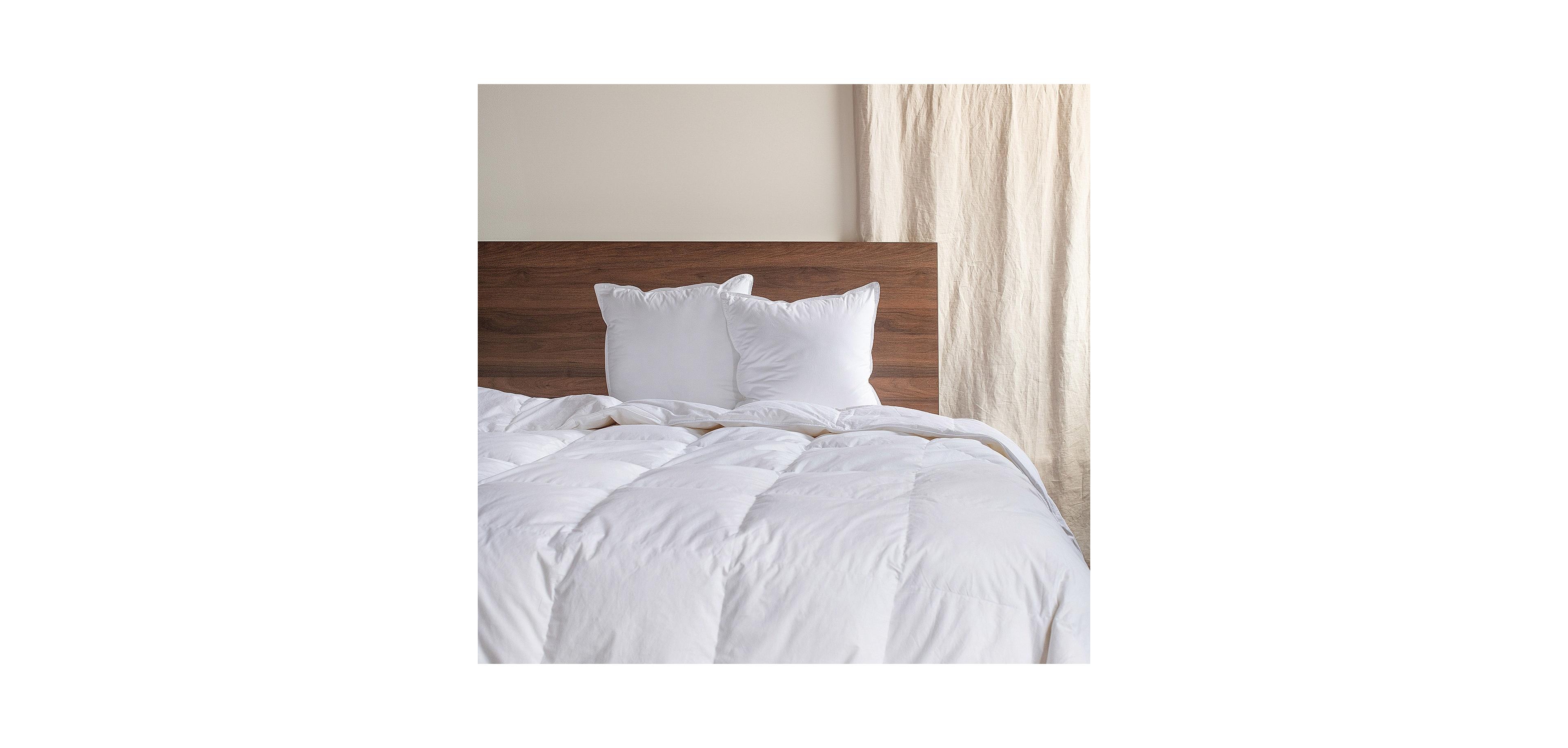 2 Pack - 18" x 18" Down Alternative Throw Pillow Insert