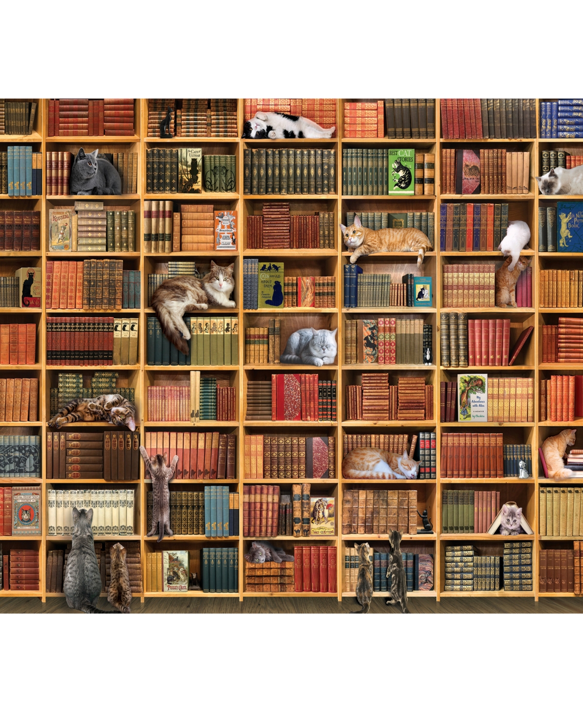 Shop Cobble Hill - The Cat Library Puzzle In Multi