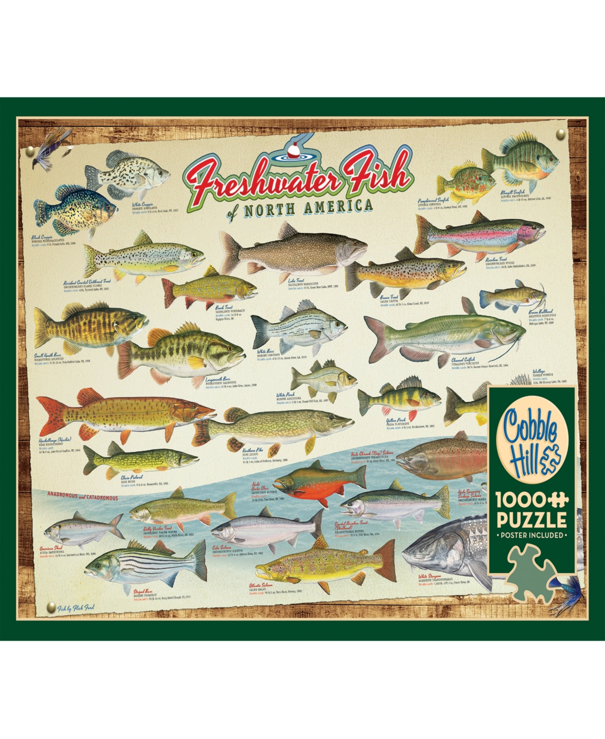 Cobble Hill - Freshwater Fish Of North America Puzzle In Multi