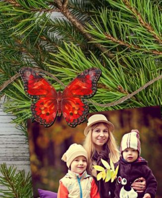 Holiday Wooden Clip-On Ornaments Butterfly Set of 6 G. DeBrekht