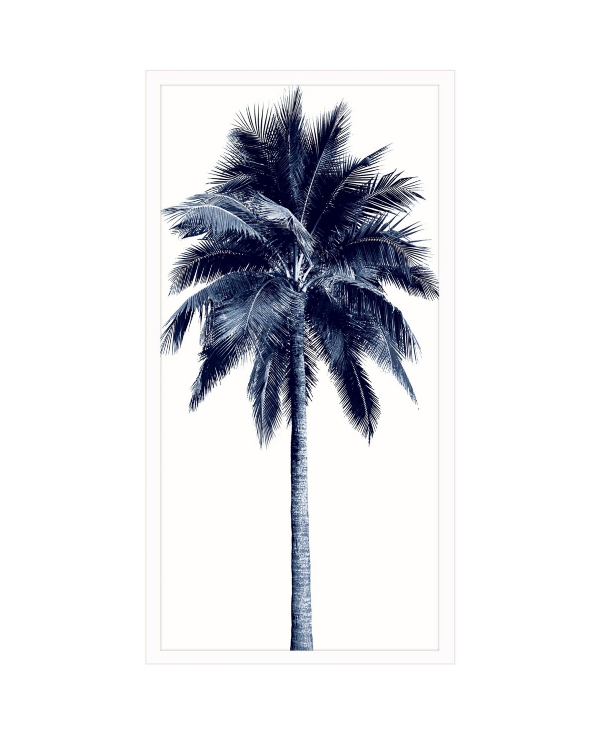 Paragon Picture Gallery Palm Tree Blue I Framed Art