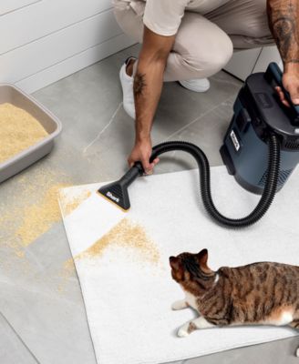 MessMaster Portable Wet Dry Vacuum, 1 Gallon Capacity VS101