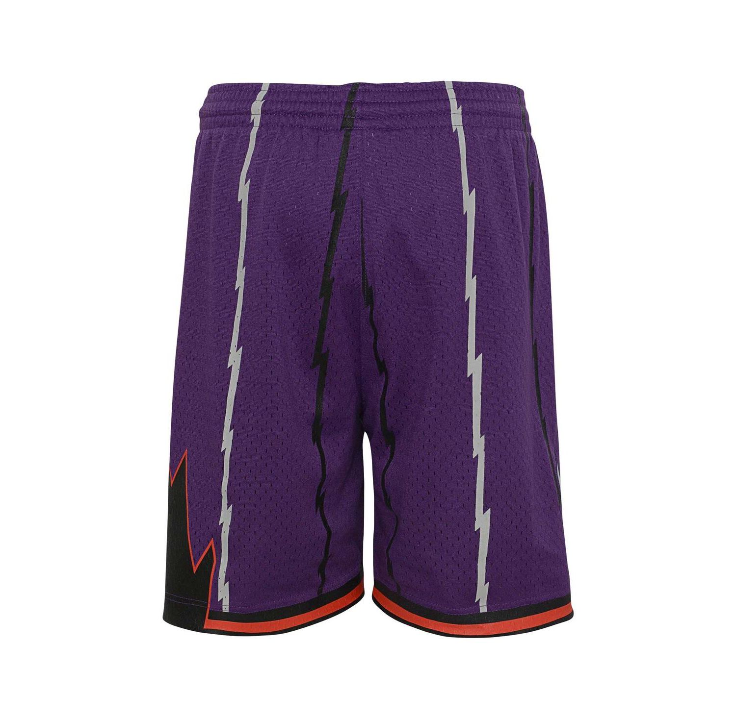 Big Boys Purple Toronto Raptors Hardwood Classics Swingman Shorts