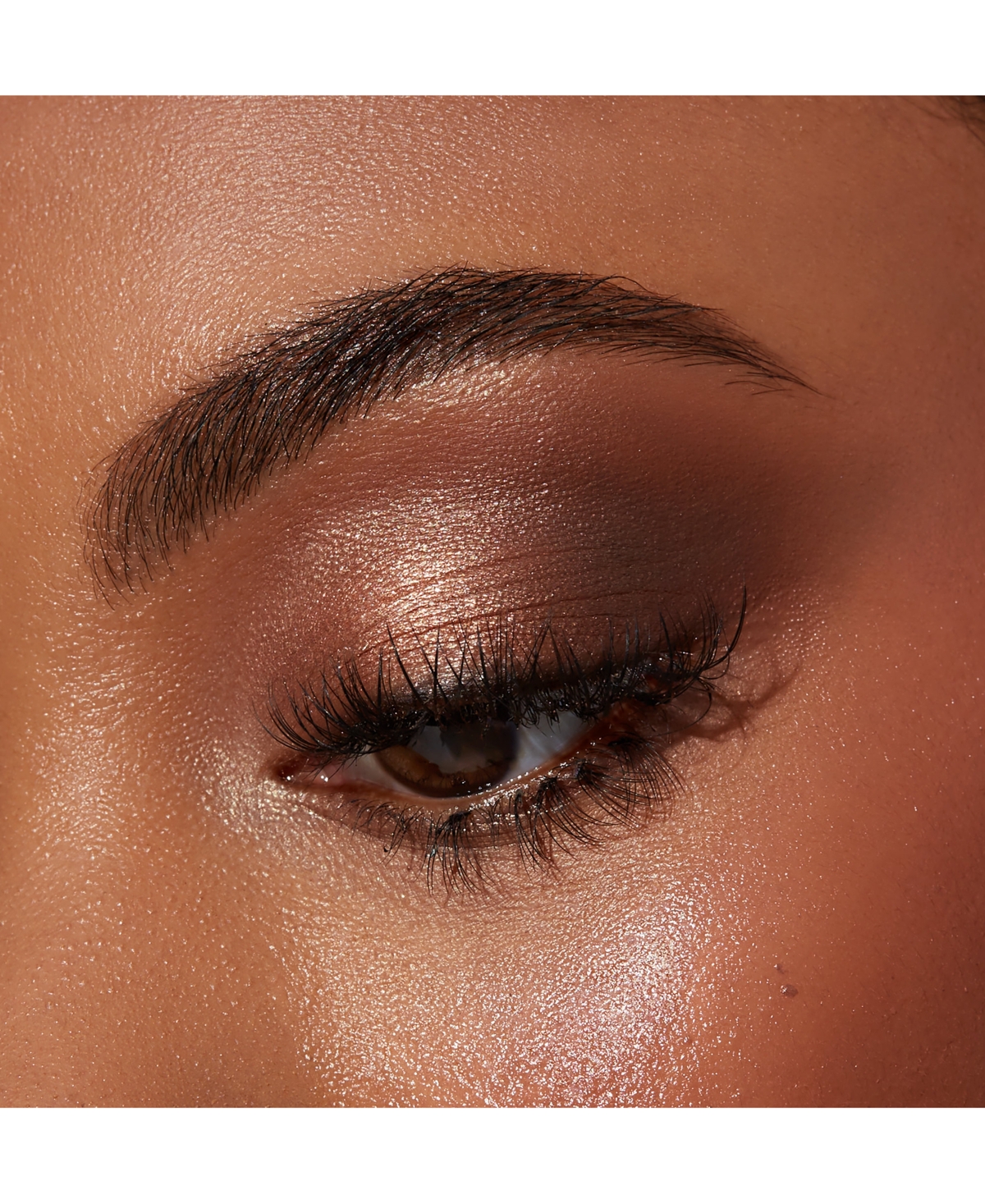 Sigma Beauty Eyeshadow Quad