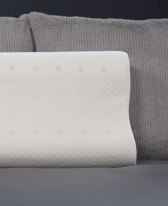 Therapedic Premier Clean Comfort Memory Foam Contour Pillow, Standard
