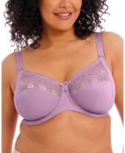 Elomi Women's Plus Size Morgan Banded Underwire Stretch Lace Bra, Wisteria,  42G at  Women's Clothing store
