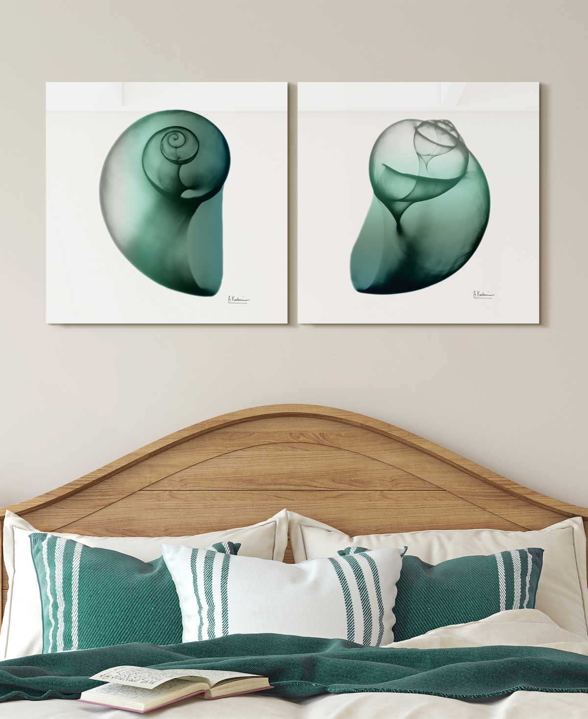 Empire Art Direct Shimmering Snail I Ii Frameless Free Floating Tempered Glass Panel Graphic Wall Art, 24" X 24" X 0.2 In Green