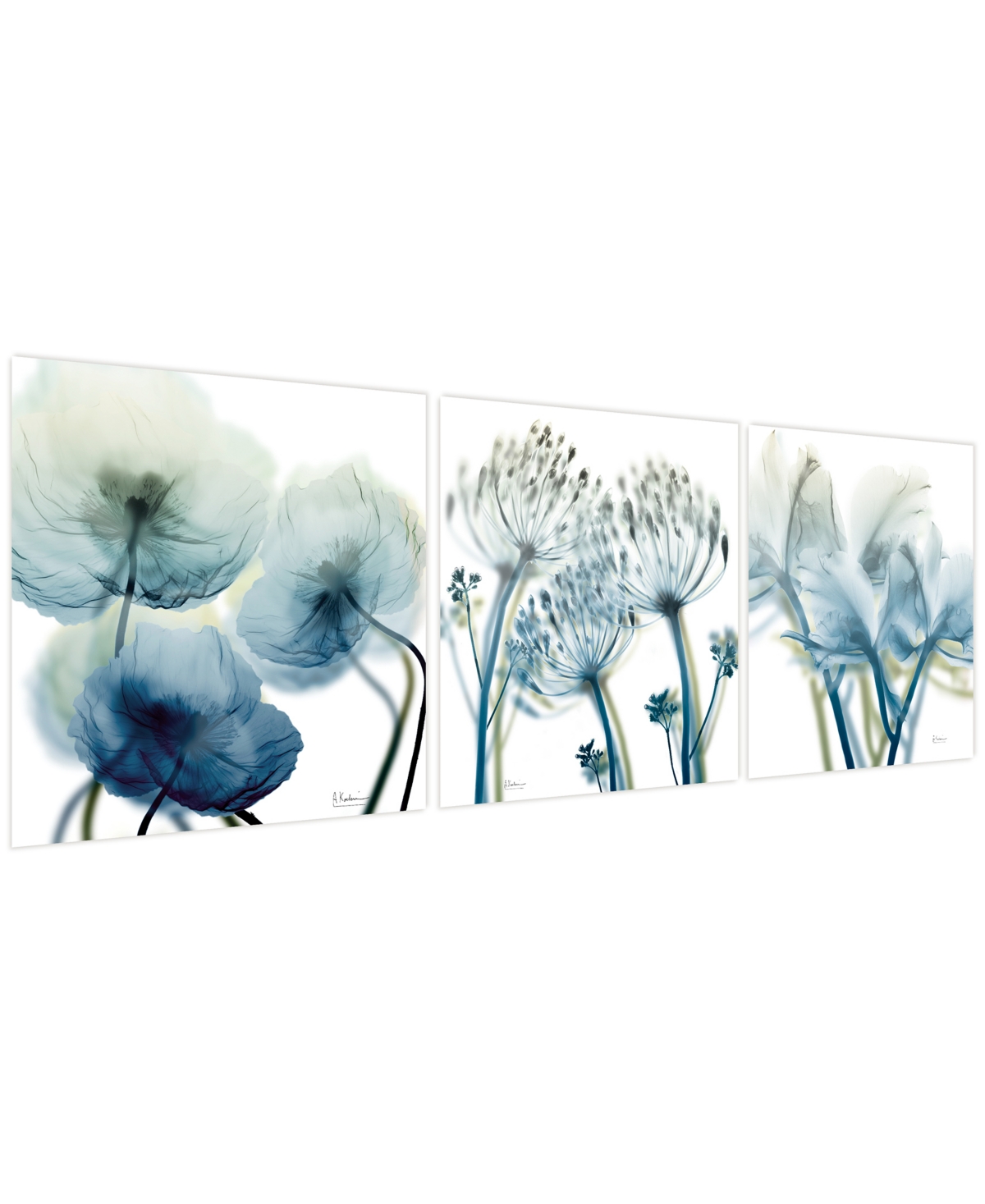 Empire Art Direct Unfocused Beauty 1 2 3 Frameless Free Floating Tempered Glass Panel Graphic Wall Art, 24" X 24" X 0. In Blue,green