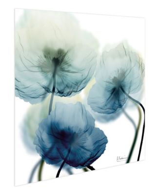 "Unfocused Beuaty 1" Frameless Free Floating Tempered Glass Panel Graphic Wall Art, 24" x 24" x 0.2"