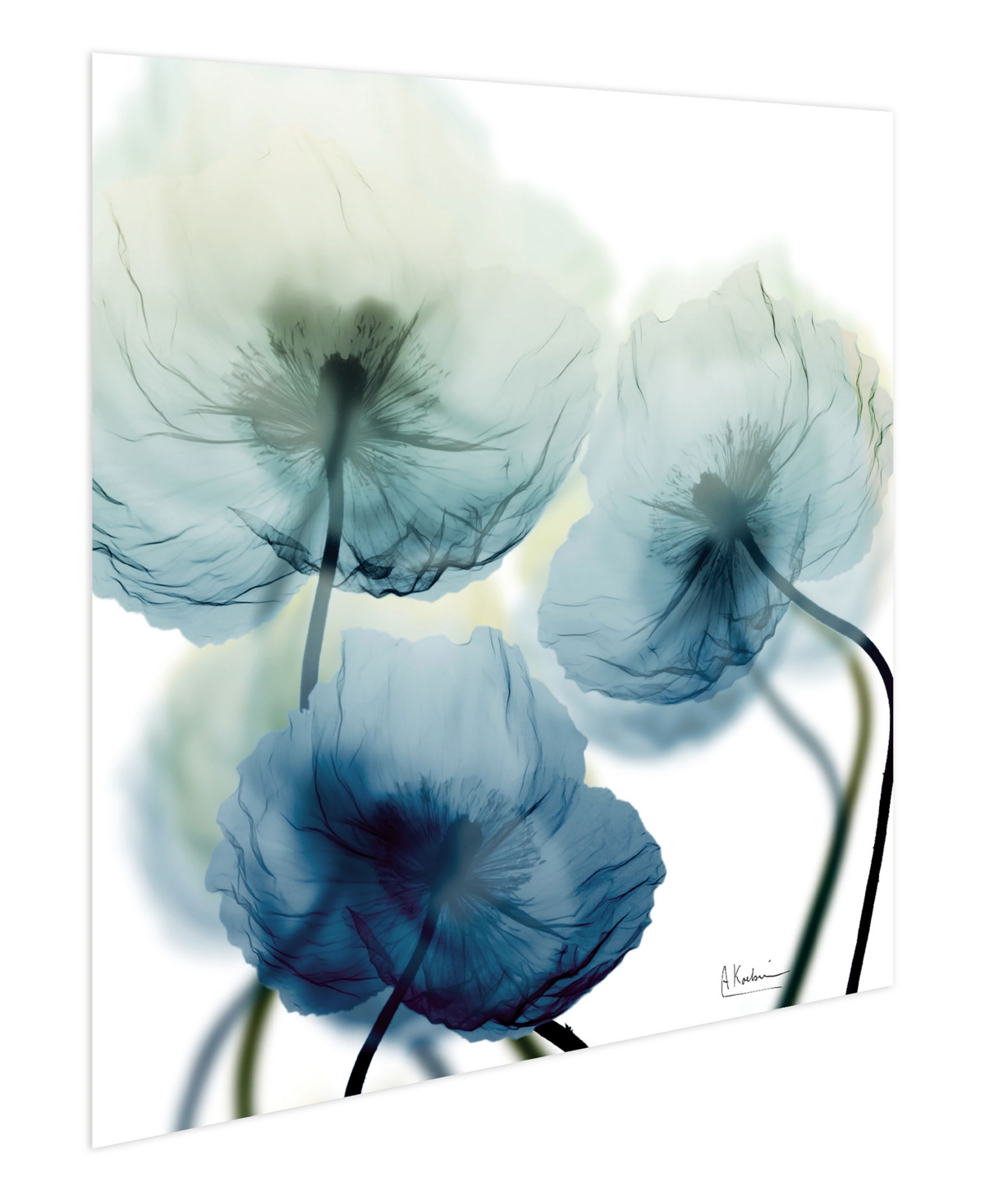 EMPIRE ART DIRECT "UNFOCUSED BEUATY 1" FRAMELESS FREE FLOATING TEMPERED GLASS PANEL GRAPHIC WALL ART, 24" X 24" X 0.2" 