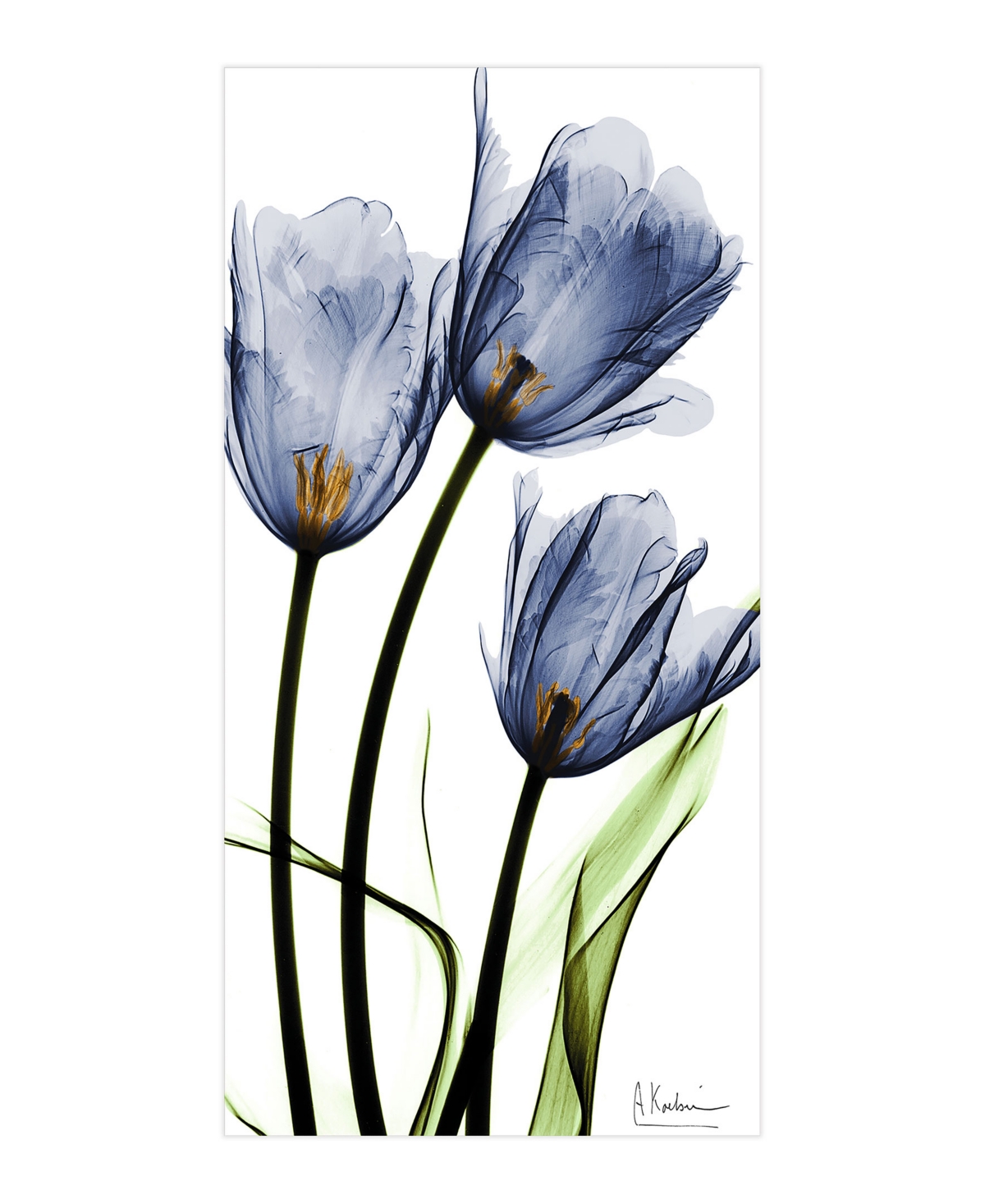 Empire Art Direct "three Blue Tulips" Frameless Free Floating Tempered Glass Panel Graphic Wall Art, 48" X 24" X 0.2"